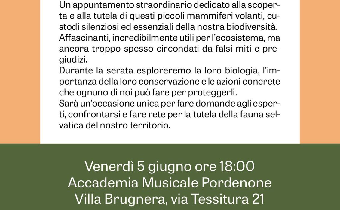 Una locandina di un evento a Pordenone legato ai pipistrelli. Testo rilevante a seguire. Data: venerdì 5 giugno 2026, ore 18:00. Luogo: Accademia Musicale Pordenone Villa Brugnera, via Tessitura, 21, Pordenone (PN). Ingresso libero.